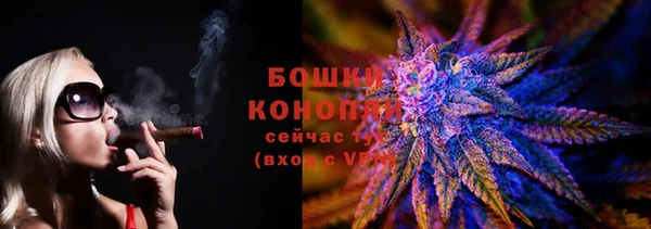 трава Козельск
