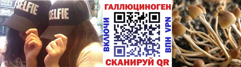 Псилоцибиновые грибы MAGIC MUSHROOMS Жигулёвск