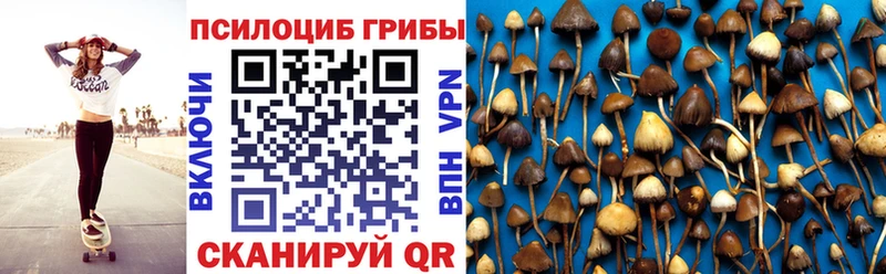 Купить закладки  Жигулёвск  Галлюциногенные грибы Psilocybe 